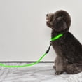 thumbnail image 3 of Correa larga LED para perro, correa y correa para cachorro recargable USB, cuerda de para mascotas, luz para cachorro, regalos de cumpleaños - Verde S Sunnimix Correa de cuerda de tracción para perros, 3 of 8