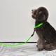 thumbnail image 1 of Correa de perro LED larga para al USB recargable 3 modos intermitentes - M Yinane Correa de cuerda de tracción para perros, 1 of 7