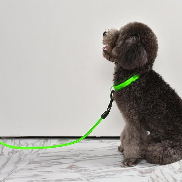Correa de perro LED larga para al USB recargable 3 modos intermitentes - M Yinane Correa de cuerda de tracción para perros