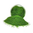 thumbnail image 1 of Bunblic 5x Grass Terrain Powder Artificial Grass Debris Ornaments Collection Fake Grass for Railway Layout Artificial Sand Table Model Street Building 5 Pcs, 1 of 8