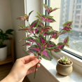 thumbnail image 6 of Artificial Perilla Leaves Greenery Stems, 17.7" Large Foliage Picks Purple-Green Leaves, Lifelike Botanic Decor for Floral Arrangement, Home Shelf Centerpiece Wedding Party Indoor, 6 of 7