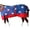 American Flag, variant on 72 In Hilason 1200D Ripstop Waterproof Turnout Winter Turnout Horse Blanket Aztec