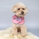 thumbnail image 5 of Disfraz suave y cálido para perro y gato, ropa adorable para mascotas, para gatos pequeños, perros y cachorros. Rosa-S, 5 of 7