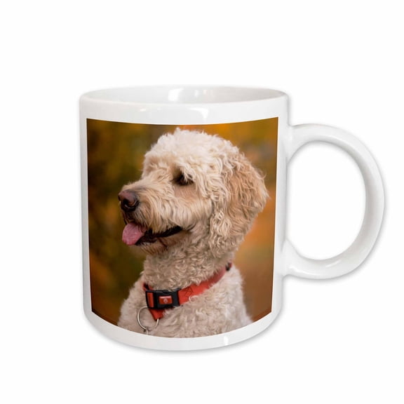 3drose, Massachusetts, Reading, Labradoodle Dog - Us22 Jen0071 - Jim Engelbrecht, 15oz Mug