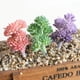 thumbnail image 3 of Adornos Artificiales de Moda Baoblaze para Fotografía de Decoración de Jardín 1pc 7.5cm Plantas Suculentas de Simulación, 3 of 7