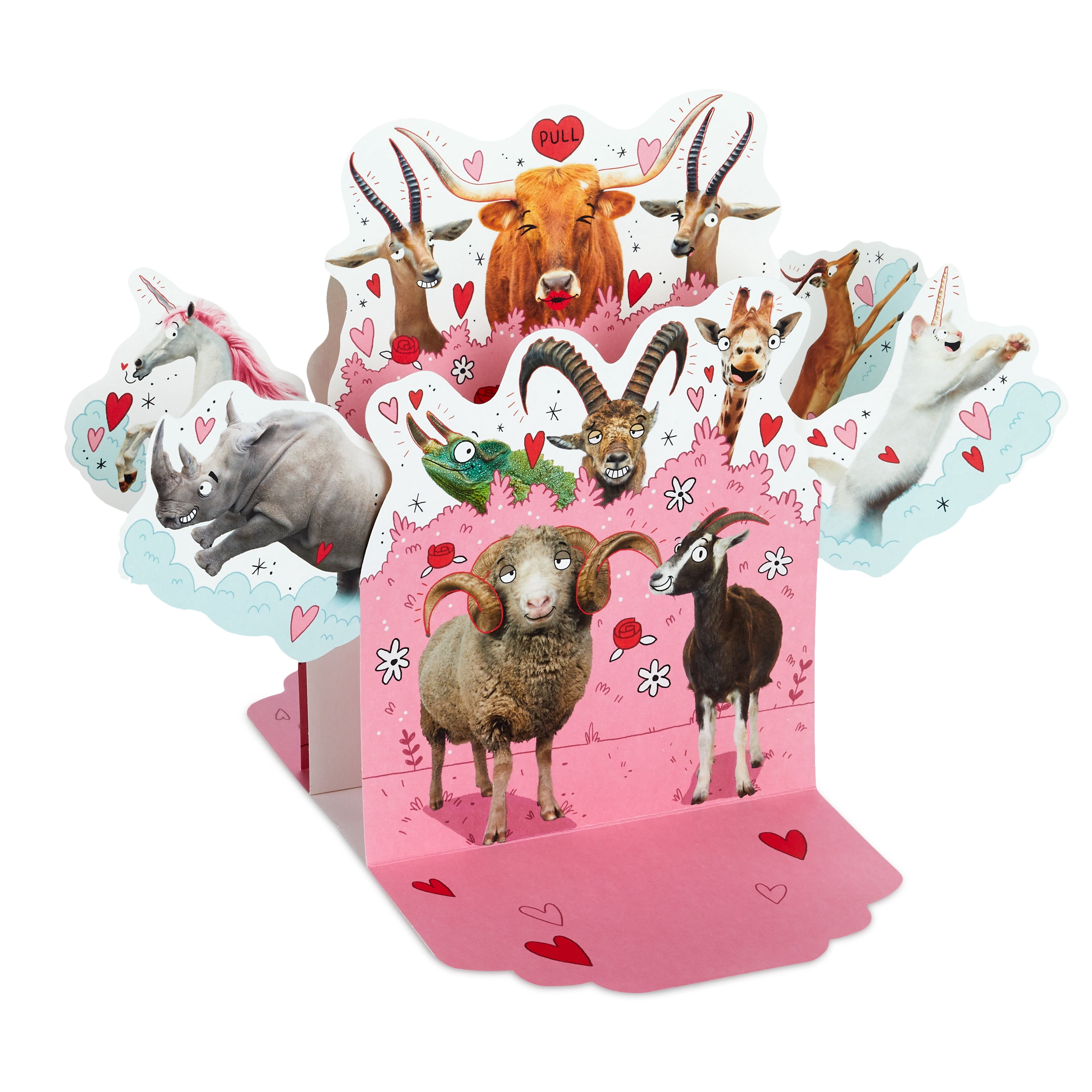 (2 pack) Hallmark Funny Pop Up Valentines Day Card for Husband, Wife, Boyfriend, Girlfriend (Horny Animals)