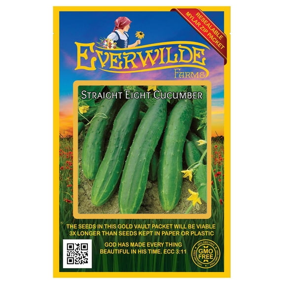 Everwilde Farms - 100 Straight Eight Cucumber Seeds - Gold Vault Jumbo Bulk Seed Packet