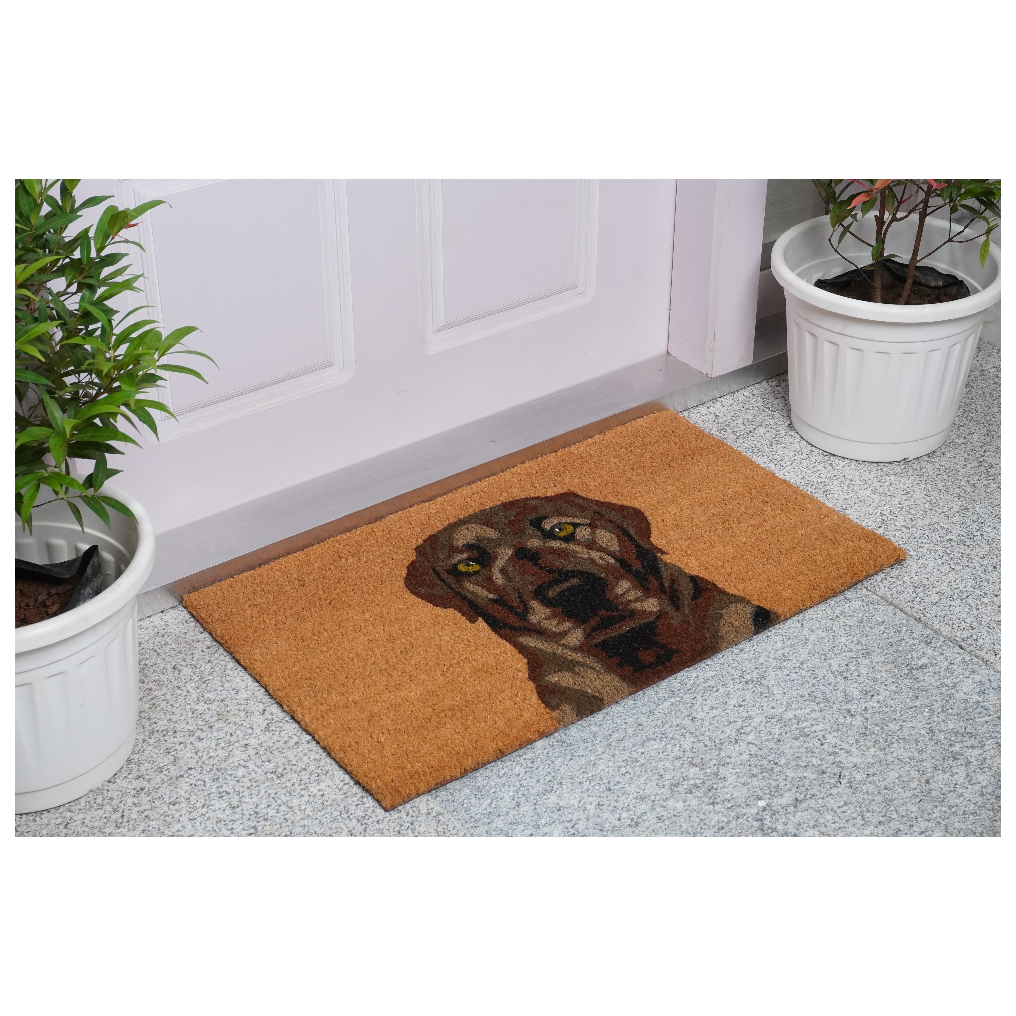 Calloway Mills 109471729 Brown Labrador Doormat 17" x 29"