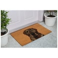 thumbnail image 5 of Calloway Mills 109471729 Brown Labrador Doormat 17" x 29", 5 of 7