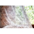 thumbnail image 2 of Shabby Flora Tulle Curtains with Rod Pocket, Vintage Monochrome Pond Water Flowers Lily Carp Snail Twigs Art, Sheer Drape for Wedding Party 2 Panels, 7 Sizes, Pale Blue White Black, by Ambesonne, 2 of 3