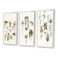 thumbnail image 3 of Designart "Botanical Bliss Joyful Hanging Houseplants I" Abstract Botanicals Framed Wall Art Set Of 3 - Green Modern Frame Canvas Set For Living Room Decor, 3 of 6