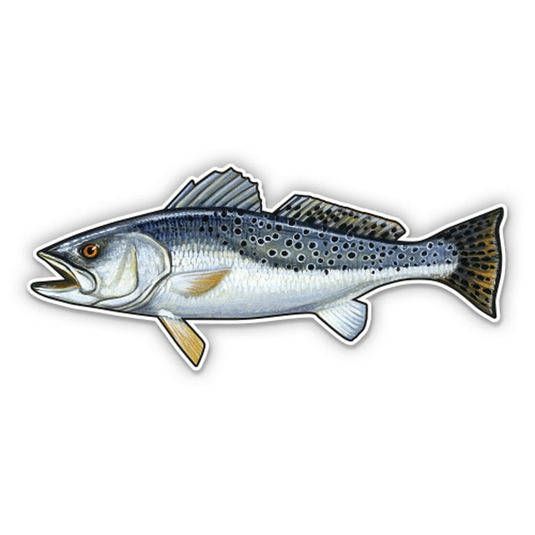 Rainbow Trout Fish - 8 Vinyl Sticker - For Car Laptop I-Pad - Waterproof  Decal 