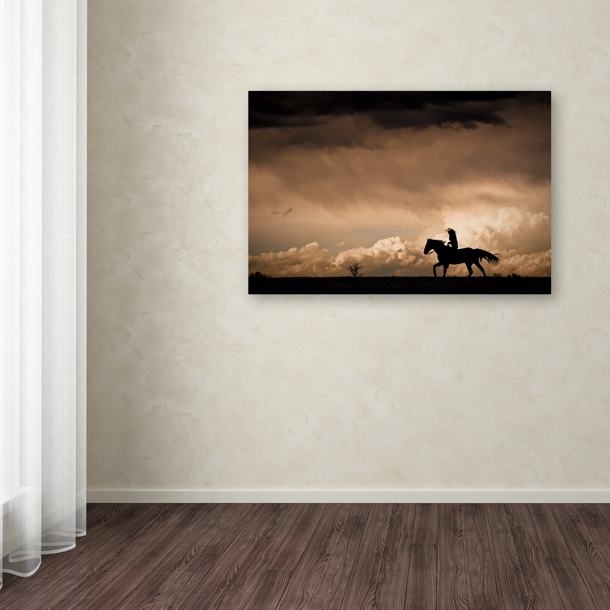 Trademark Fine Art 'Ride the Storm' Canvas Art by Dan Ballard