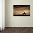 thumbnail image 3 of Trademark Fine Art 'Ride the Storm' Canvas Art by Dan Ballard, 3 of 3