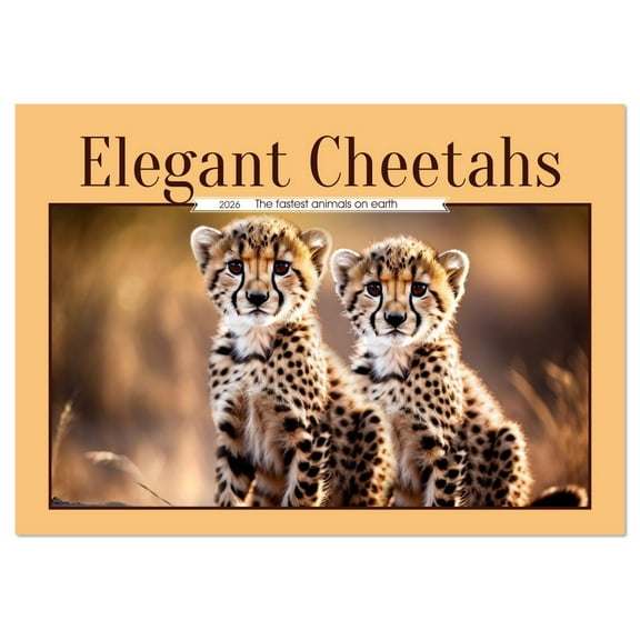 Elegant Cheetahs (Monthly Wall Calendar 2026 11.7 x 16.5 (open)), CALVENDO 14 Month Calendar