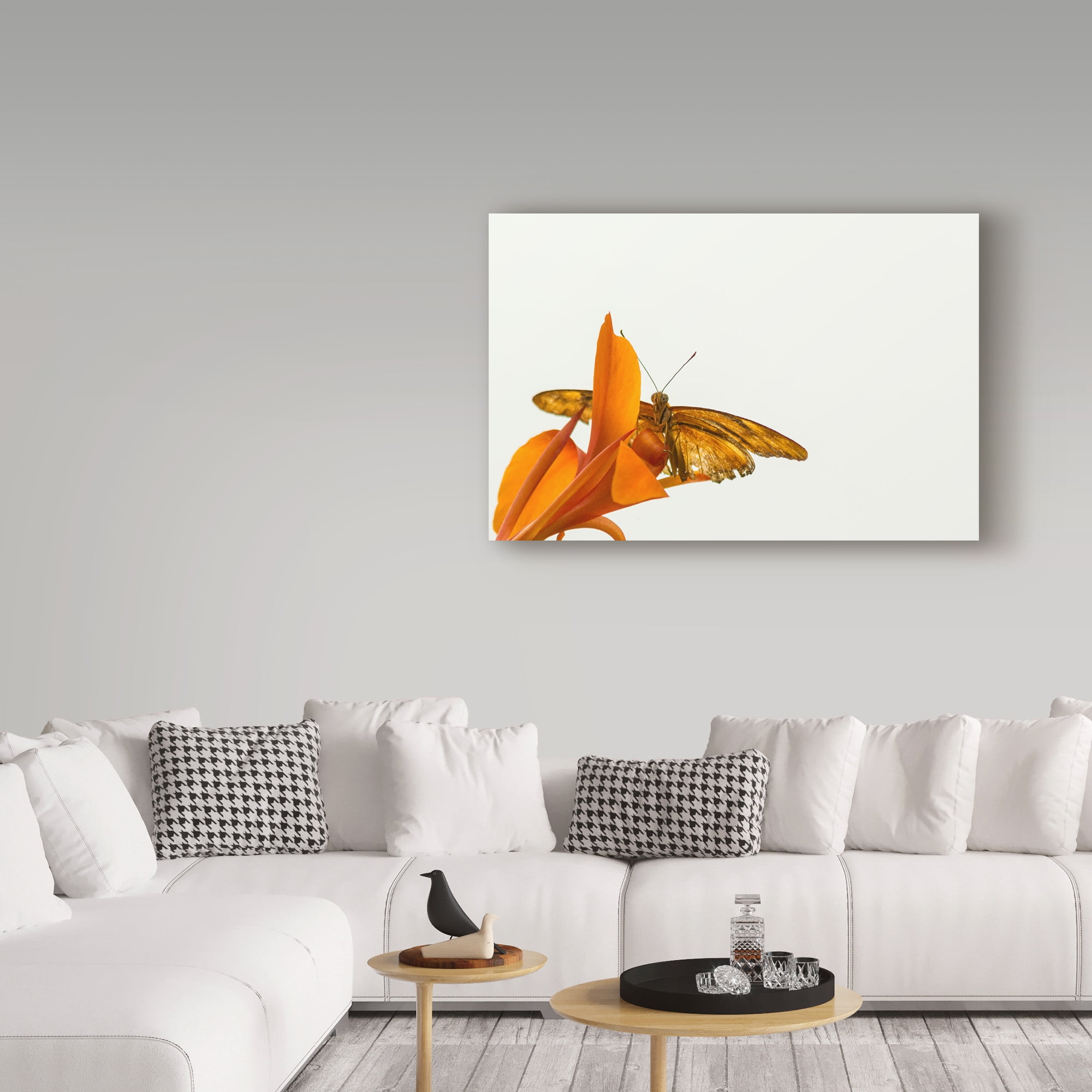 Trademark Fine Art 'A Kiss Of Orange' Canvas Art by Chris Moyer