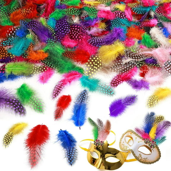2000 Pcs Colorful Feathers Bulk For Diy Craft Wedding Home Party Decorations