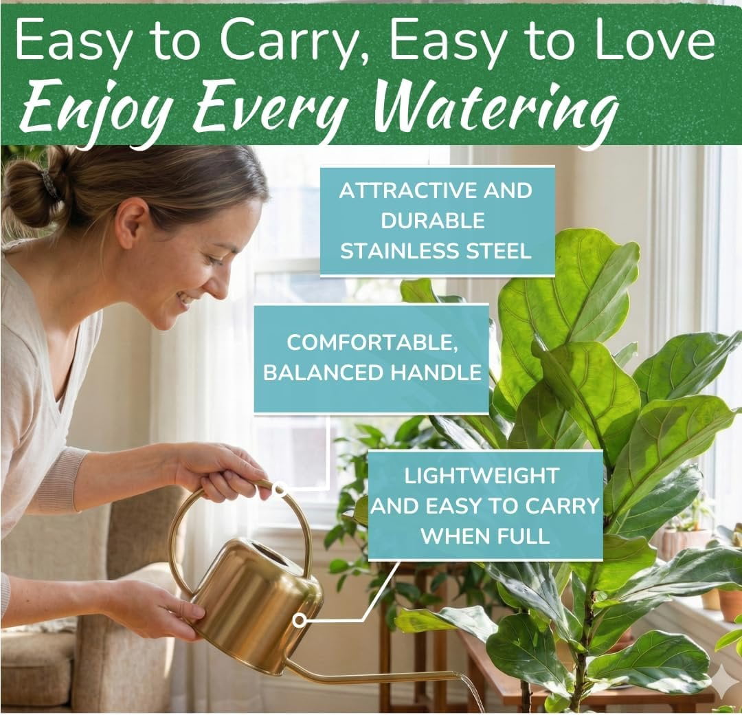 Stainless Steel Watering Can for Houseplants by Houseplant Resource Center  1L Capacity for Indoor/Outdoor Plants in Brushed Silver