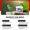 thumbnail image 2 of Morning Bird Moringa Leaf Powder for Birds, 3 oz, 2 of 7