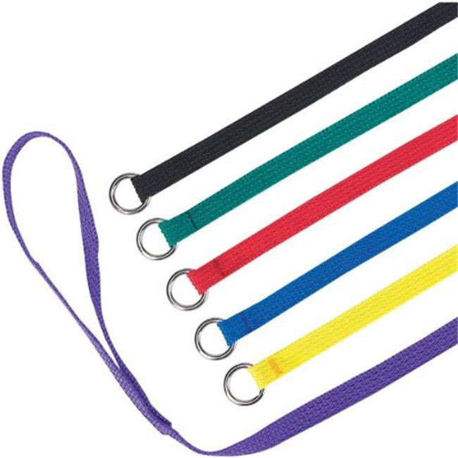 Neon Green, Orange, Yellow, Blue, Red, Black 18 Pieces Slip Leads Dog Leash Pet Rope with O-Ring 6 Feet for Small Medium Large Dogs Grooming Shelter Rescues Walking Training 