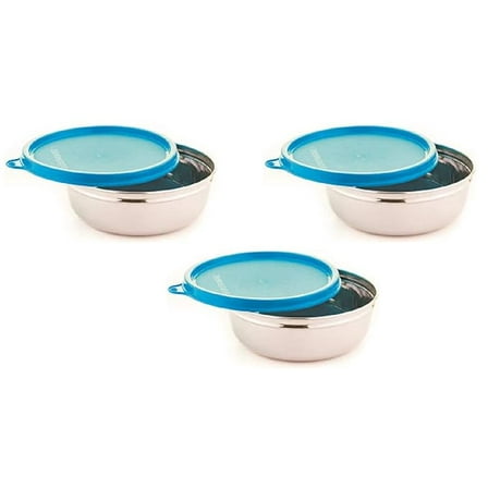 Signora Ware Stainless Steel Serving Bowl | Airtight & Leakproof (200Ml X 3 | Set of 3 | Blue)