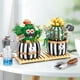 thumbnail image 2 of Bloques de construcción creativos, suculentas, cactus, modelo 3D, minibonsái, simulación de planta verde, flor, decoración del hogar, juguete para niños, regalo, 2 of 5