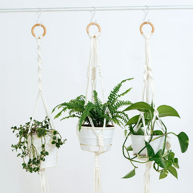 Designer Plants Stainless Steel Hanging Hooks 9cm x 7cm 10 Pieces