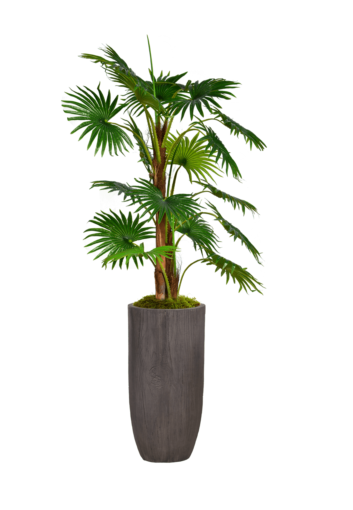 Vintage Home Artificial Faux Plastic 63" Tall Fan Palm Tree With Burlap