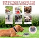 thumbnail image 2 of Pet Floating Water Bowl for Travel, 2 of 5