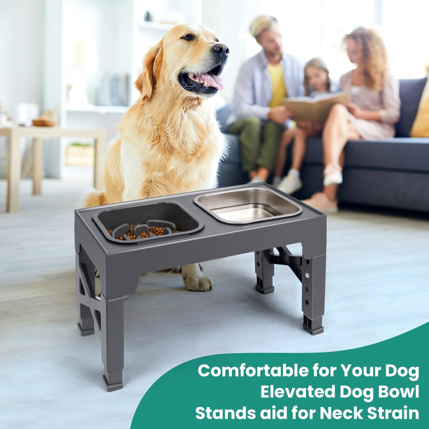 Elevated Dog Bowls, with Slow Feeder Bowl and Stainless Steel Dog Food Bowl
