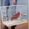 LARGE 24" Metal Foldable Bird Parrot Travel Veterinary Carrier Wire Cage with Wooden Stand Perch and Stainless Steel Dishes Prevent Beak Out