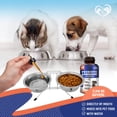 thumbnail image 4 of Suplementos probióticos y prebióticos para perros y gatos de Beloved Pets, 4 of 6