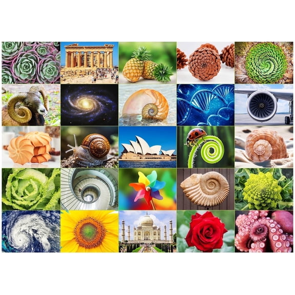 BenBen Puzzles for Adults 1000 Pieces, Fibonacci Spirals in Nature, Jigsaw Puzzles Letters on Back
