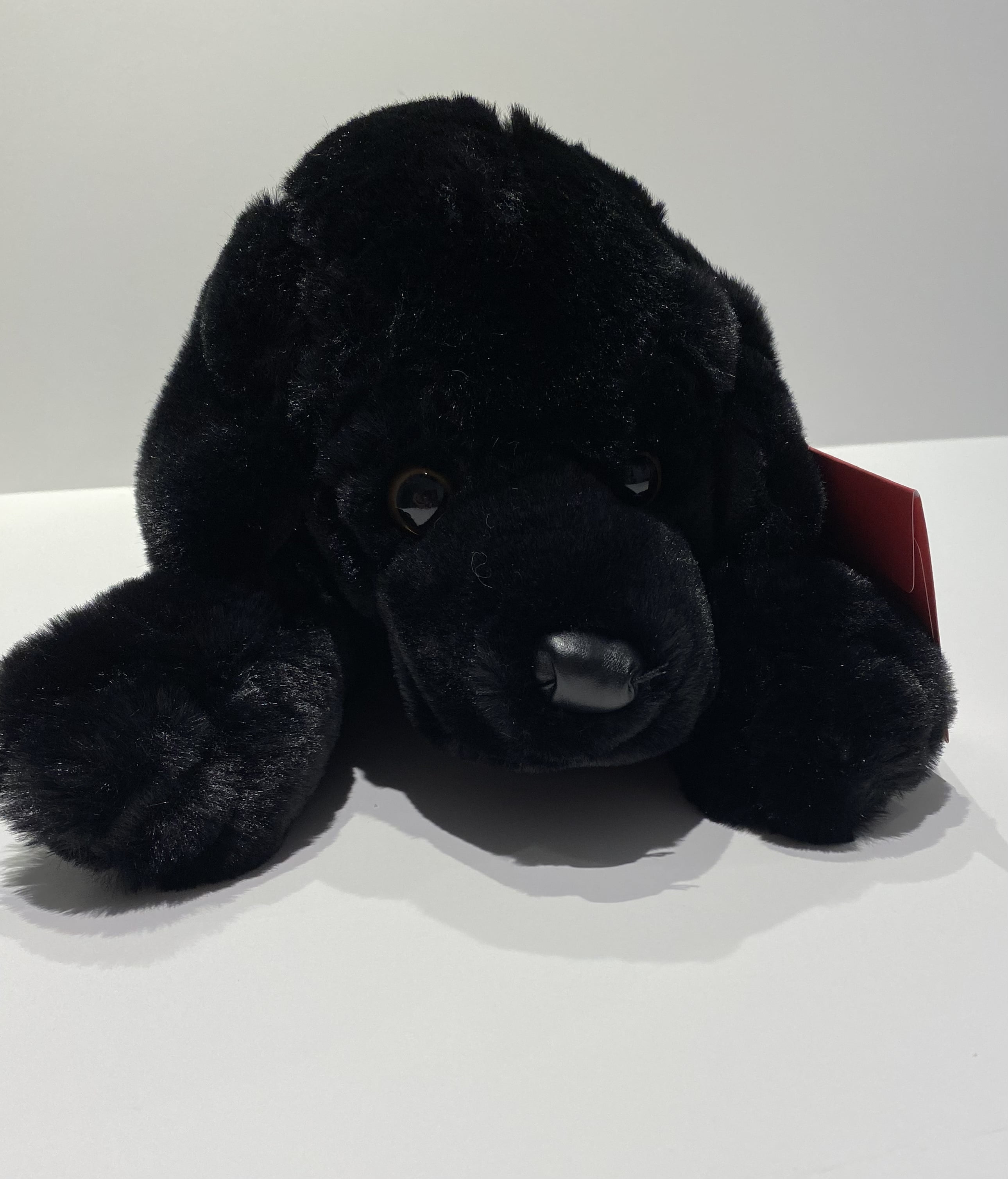 fao schwarz adopt a pet dog