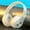 White, variant on Uandlove Bluetooth Headphones for Kids,Headphones Wireless Bluetooth Headset Subwoofer Bluetooth 5.1 Mobile Computer Game Music Sports Game Headphones,Blue