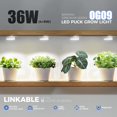 thumbnail image 3 of Grow Light Barrina Orbgrow OG09 Puck 36 W 5000 K de espectro completo, 3 of 9