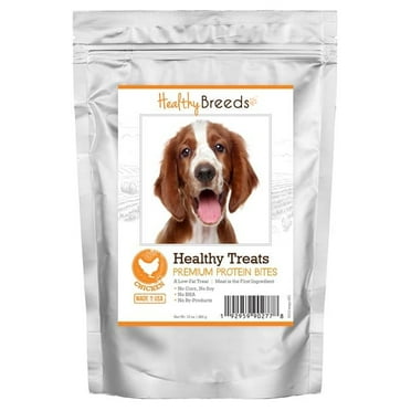 Welsh Springer Spaniel Healthy Treats Premium Protein Bites Chicken Dog Treats, 10 oz
