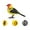 F, variant on Interactive Electronic Songbird Toy for Kids Ages 3-6, Voice-Activated Realistic Bird with Sound Detection, Home & Office Decoration, 12cm Plastic Bird (Batteries Not Included)