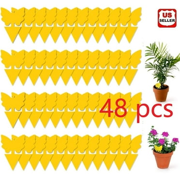 LINKPAL 48 Pack Sticky Fruit Fly Trap and Fungus Gnat Traps Killer for Indoor and Outdoor, Protect the Plant, Non-Toxic and Odorless