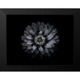 thumbnail image 2 of Carson, Brian 14x12 Black Modern Framed Museum Art Print Titled - Backyard Flowers Black and White 69, 2 of 5
