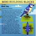 thumbnail image 3 of Mini Building Blocks - Blue Jay, 3 of 4