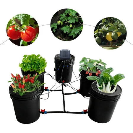 

DENEST Hydroponics Grow System Kit 5 Buckets 5 Gallon Recirculating Deep Water Culture