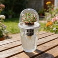 thumbnail image 2 of SharkTRUE Clear Hydroponic Seedling Starter Kit, Inch Cups with Humidity Domes for Root Observation and Indoor Growth,Reusable Nursery System for Cuttings, Degree Visibility, 2 of 10
