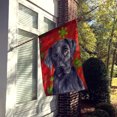 thumbnail image 2 of Carolines Treasures SC9404CHF 28 x 40 Po Labrador Rouge Vert Flocon de Neige Vacances Noël Maison Taille Drapeau de Toile, 2 of 4