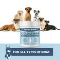 thumbnail image 3 of Special Breed Bovine Colostrum for Dogs and Cats, Immune Support Supplement for Allergy and Itch Relief, Grass Fed Colostrum Powder (240 Grams), 3 of 7