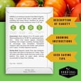thumbnail image 2 of 5 Packs Hillbilly Tomato Seeds - Non-GMO Heirloom Full Sun Annual Vegetable, 2 of 7