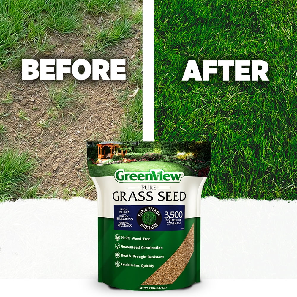 GreenView Pure Grass Seed Sun & Shade Mixture, 20 lb. Bag – Covers up to 10,000 sq. ft.