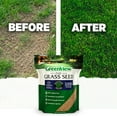 thumbnail image 6 of GreenView Pure Grass Seed Sun & Shade Mixture, 20 lb. Bag – Covers up to 10,000 sq. ft., 6 of 10