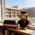 thumbnail image 3 of Gqtwoy Graduation Cap Cow Plush Toy, Graduation Gift, Soft Toy for Graduates, Academic Achievement Keepsake, Decoration for Graduation Parties, 3 of 6
