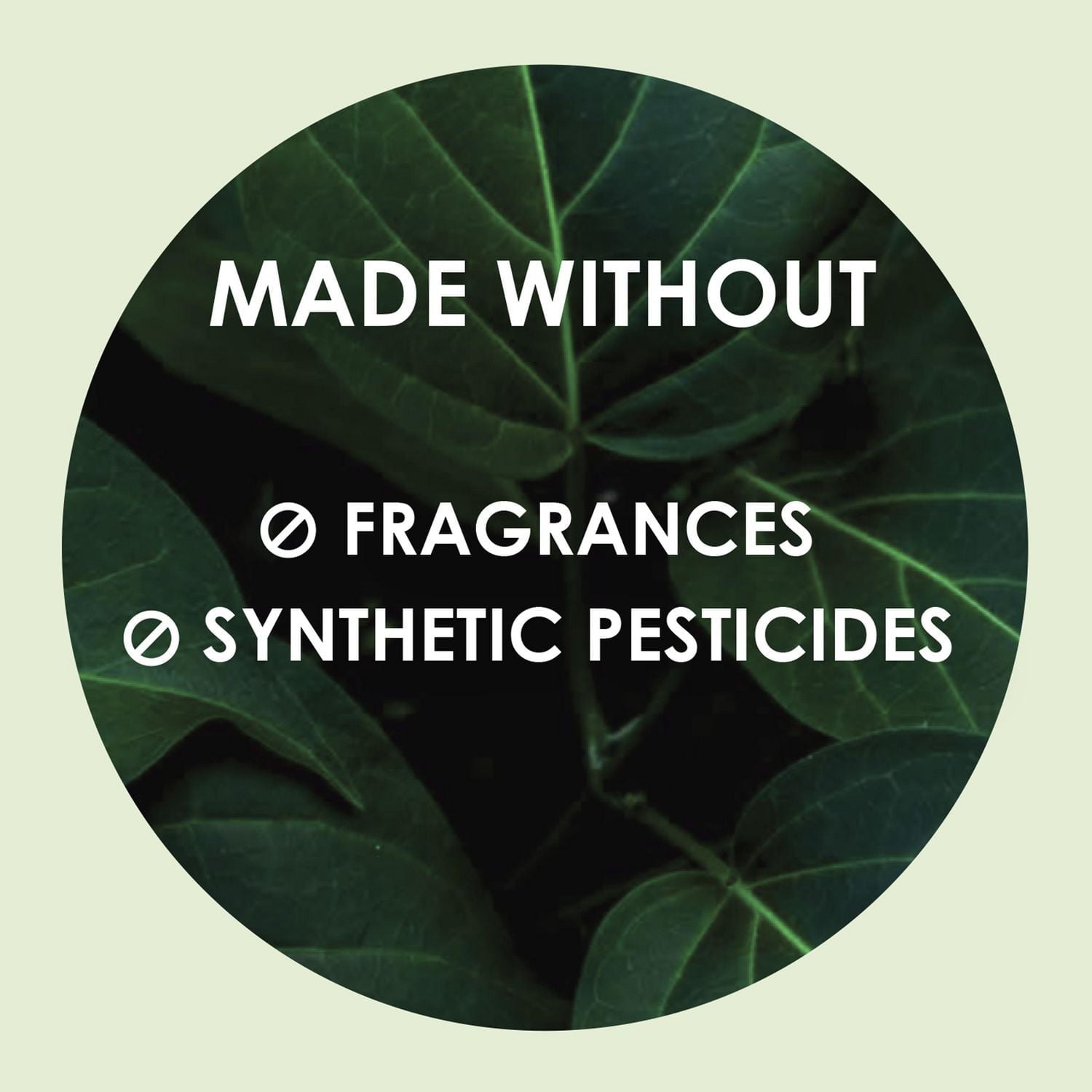 Serviettes L. ultraminces pour femmes, avec ailes, degré d’absorption régulier, voile supérieur en coton pur à 100 %, non parfumées, 42 U 42CT